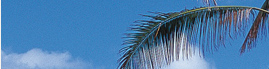 www.traveljungle.co.uk